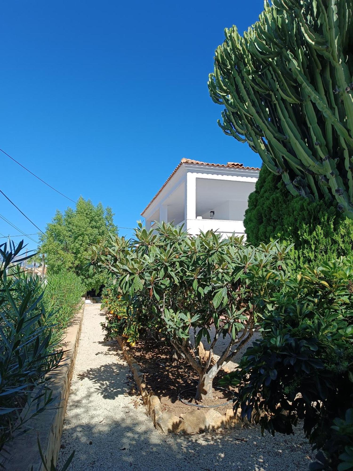 مبيت وإفطار البير Casa La Siesta Albir المظهر الخارجي الصورة